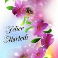 Giugno Martedì Immagini 120x120 - Ultimo Di Carnevale 2017 Martedì Immagini