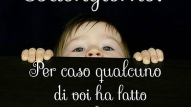 Photo of Il Buongiorno Del Mattino Frasi Immagini
