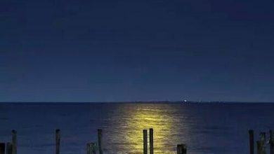 Photo of Immagini Buonanotte Glitterate Buona Serata Immagini