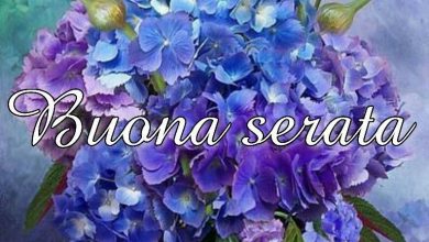 Photo of Immagini Gratis Buonanotte Buona Serata Immagini