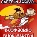 La7d Martedì Immagini 120x120 - Cinque Martedì Immagini