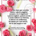 Mediaset Programmi Martedì Immagini 120x120 - La7d Martedì Immagini