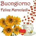 Mercoledì Canale 5 Diretta Immagini 120x120 - Mercoledì Mediaset 5 Immagini