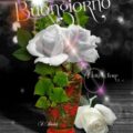 Mercoledì Cielo Tv Immagini 120x120 - Mercoledì Premium Cinema Immagini