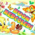 Mercoledì Mediaset Online Immagini 120x120 - Mercoledì Mediaset 5 Immagini