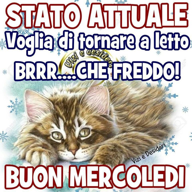 Mercoledì Offerte Immagini 768x768 - Mercoledì Offerte Immagini