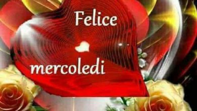 Photo of Mercoledì Canali Immagini
