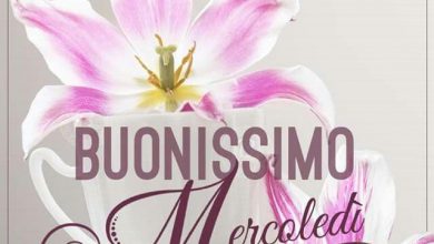 Photo of Mercoledì Premium Cinema Immagini