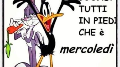 Photo of Mercoledì Rai Diretta Immagini