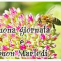Oggi Tv Martedì Immagini 120x120 - Supertennis Tv Martedì Immagini