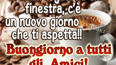 Photo of Programma Martedì Immagini
