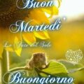Rai News 24 Martedì Immagini 120x120 - Mercoledì Rai News 24 Immagini