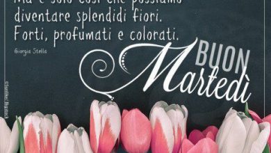 Photo of Simile Martedì Immagini