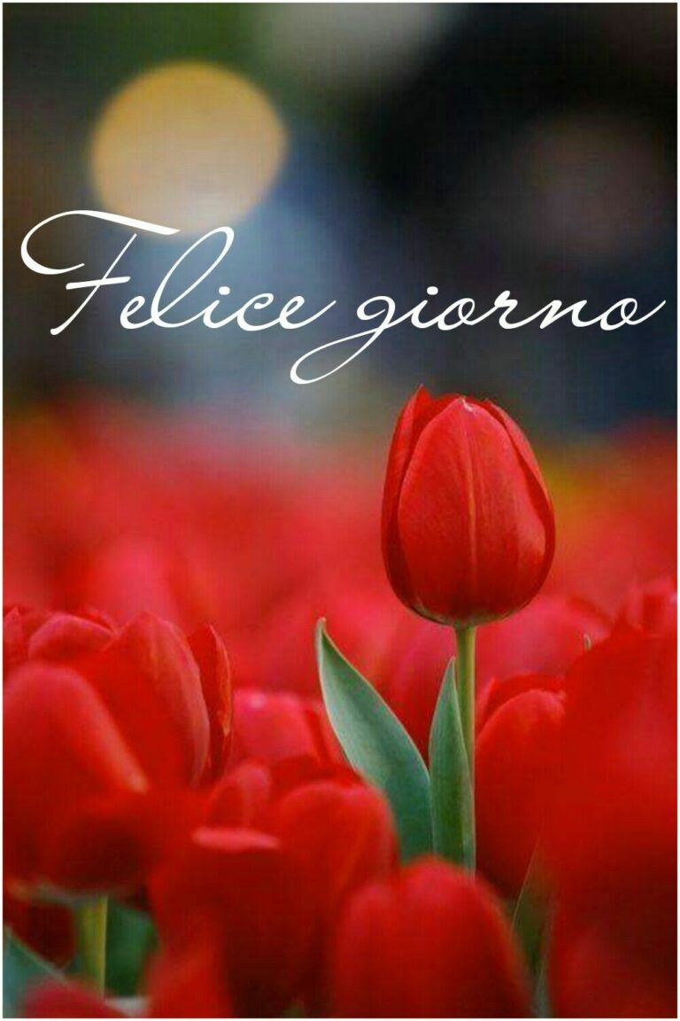 Sms Buongiorno Amore Mio Buona Giornata Immagini 768x1152 - Sms Buongiorno Amore Mio Buona Giornata Immagini