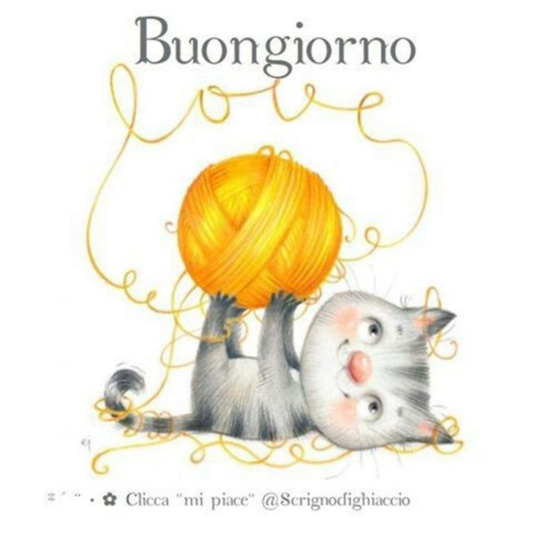 Sms Di Buongiorno Simpatici Immagini 768x768 - Sms Di Buongiorno Simpatici Immagini