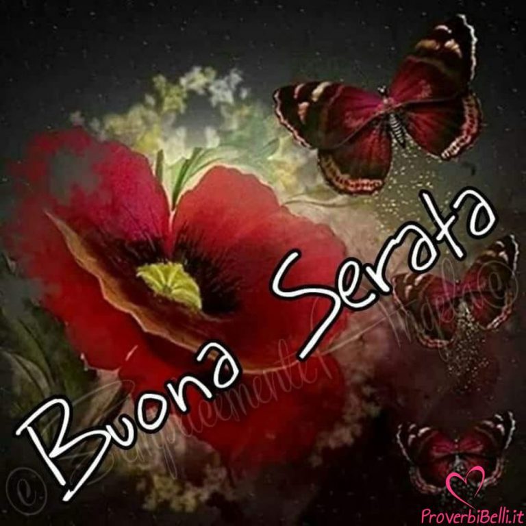 Sogni Immagini Buona Serata Immagini 768x768 - Sogni Immagini Buona Serata Immagini