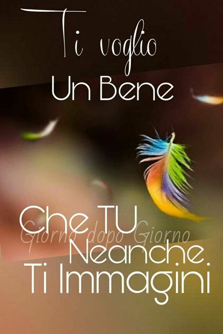 Stati Whatsapp Amicizia Amicizia Immagini 768x1153 - Stati Whatsapp   Immagini