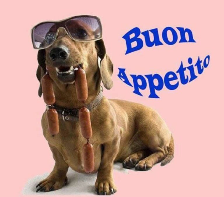 Supermercati Che Accettano Buoni Pasto Buon Pranzo Immagini 768x674 - Supermercati Che Accettano Buoni Pasto Buon Pranzo Immagini