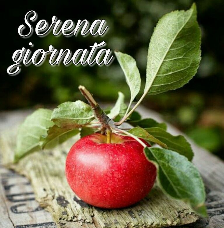 Un Buongiorno Speciale Per Te Buona Giornata Immagini 768x783 - Un Buongiorno Speciale Per Te Buona Giornata Immagini