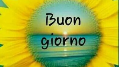 Photo of Vignette Buongiorno Immagini