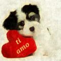 como é te amo em libras Immagini 120x120 - sebas r te amo mama Immagini