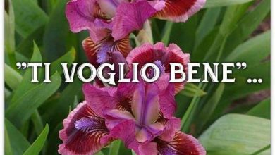 Photo of frasi per dire tvb Immagini