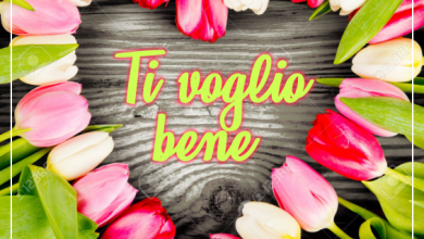 Photo of frasi tvb Immagini