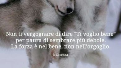 Photo of ti voglio bene fratellone Immagini