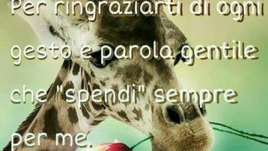 Photo of ti voglio bene inglese Immagini