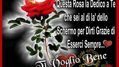 Photo of ti voglio davvero bene Immagini